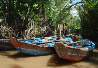 Sampan; Flussfahrt; Mekong; Palmen
