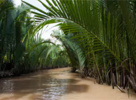 Typischer Seitenarm des Mekong