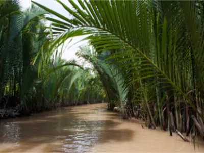 Typischer Seitenarm des Mekong