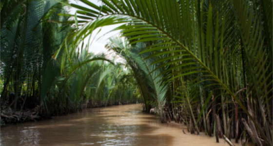 Typischer Seitenarm des Mekong