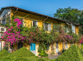 Bewachsenes Wohnhaus in Saigon