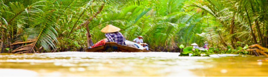 Typischer Seitenarm des Mekong