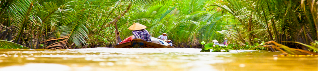 Typischer Seitenarm des Mekong