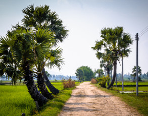 Feldweg in Chau Doc