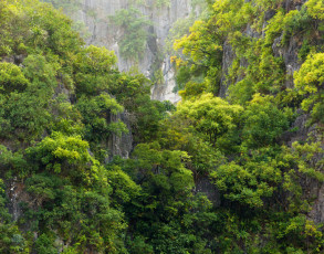Grüne Felswand in der Halong Bucht