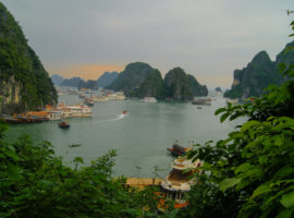 Blick auf eine Vielzahl an Schiffen in der Halong Bucht