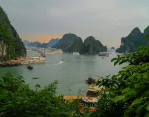 Blick auf eine Vielzahl an Schiffen in der Halong Bucht