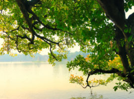 Romantischer Blick auf den Hoan Kiem See Hanoi