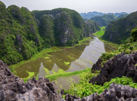 Oase in der trockenen Halong Bucht